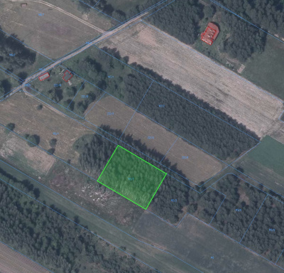 Śliczne 2.875 m2 w Tocznabieli k/ Pułtuska, woj. mazowieckie. 1 km od Narwi. -
Mazowieckie Zdjęcie nr 4