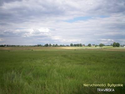 Na sprzedaż działka budowlana - Tryszczyn -
kujawsko-pomorskie Zdjęcie nr 3
