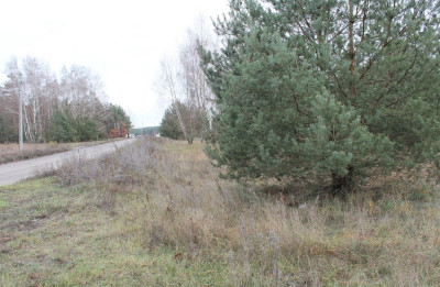 Na sprzedaż działka budowlana - Prądki -
kujawsko-pomorskie