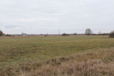 Na sprzedaż działka budowlana - Prądki -
kujawsko-pomorskie Zdjęcie nr 6