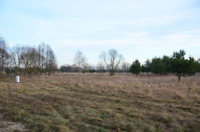 Na sprzedaż działka rolna - Skórzewo -
kujawsko-pomorskie Zdjęcie nr 11