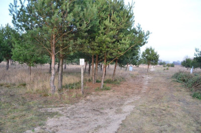 Na sprzedaż działka rolna - Skórzewo -
kujawsko-pomorskie Zdjęcie nr 7
