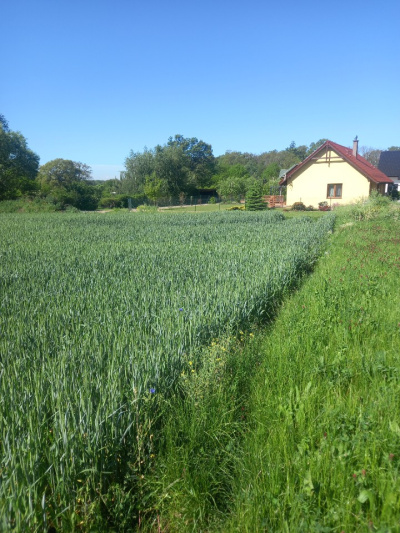 Sprzedam działkę budowlaną w Pyszącej (okolice Brzegu Dolnego) -
Dolnośląskie Zdjęcie nr 4