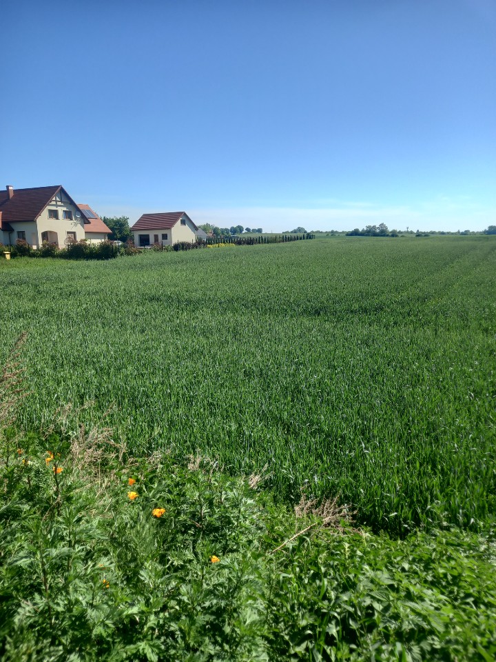 Sprzedam działkę budowlaną w Pyszącej (okolice Brzegu Dolnego) -
Dolnośląskie Zdjęcie nr 1