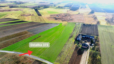 Działka rolna 1,86 ha w jednym kawałku -
mazowieckie Zdjęcie nr 6