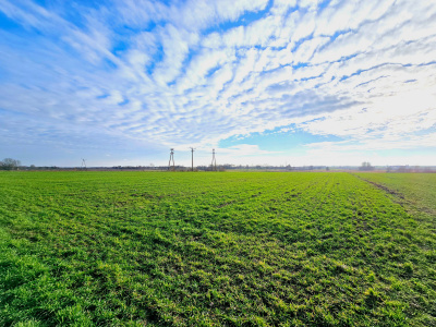 Działka rolna 1,86 ha w jednym kawałku -
mazowieckie Zdjęcie nr 2
