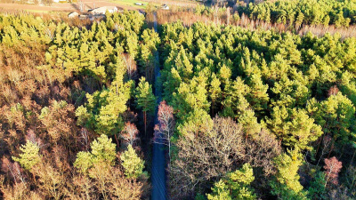 Działka leśna 5200 m2, las 80-letni - mazowieckie