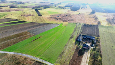 Działka rolna 1,86 ha w jednym kawałku -
mazowieckie Zdjęcie nr 3