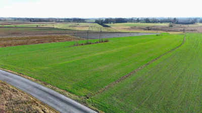 Działka rolna 1,86 ha w jednym kawałku -
mazowieckie Zdjęcie nr 5