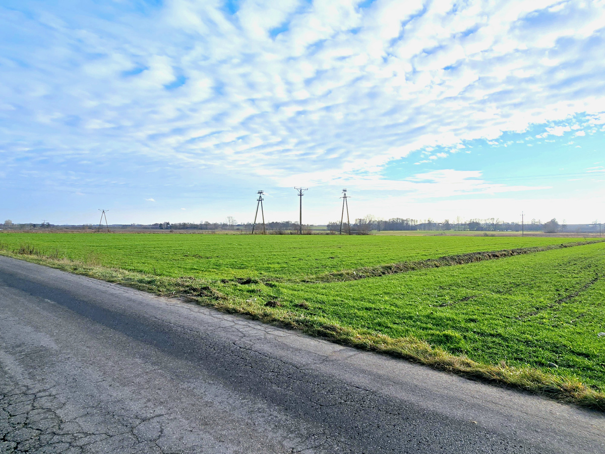 Działka rolna 1,86 ha w jednym kawałku -
mazowieckie Zdjęcie nr 1
