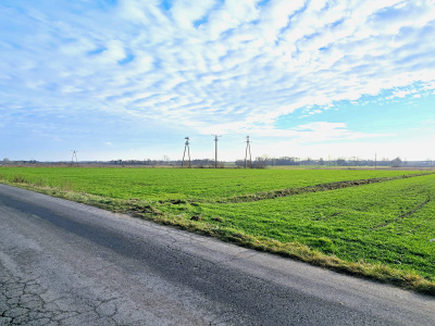Działka rolna 1,86 ha w jednym kawałku - mazowieckie