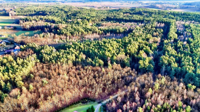 Działka leśna 5200 m2, las 80-letni -
mazowieckie Zdjęcie nr 4