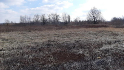 SPRZEDAM DZIAŁKĘ USŁUGOWO - PRZEMYSŁOWĄ PRZY A1 W ZABRZU -
śląskie