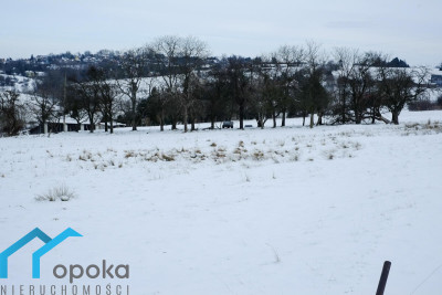 Działka budowlana w Cieszynie Pikiety 2478 m2 - cieszyński  -
śląskie