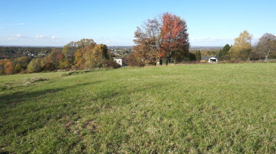 Działka budowlana Zamarski 106 ha - Zamarski   -
śląskie Zdjęcie nr 4
