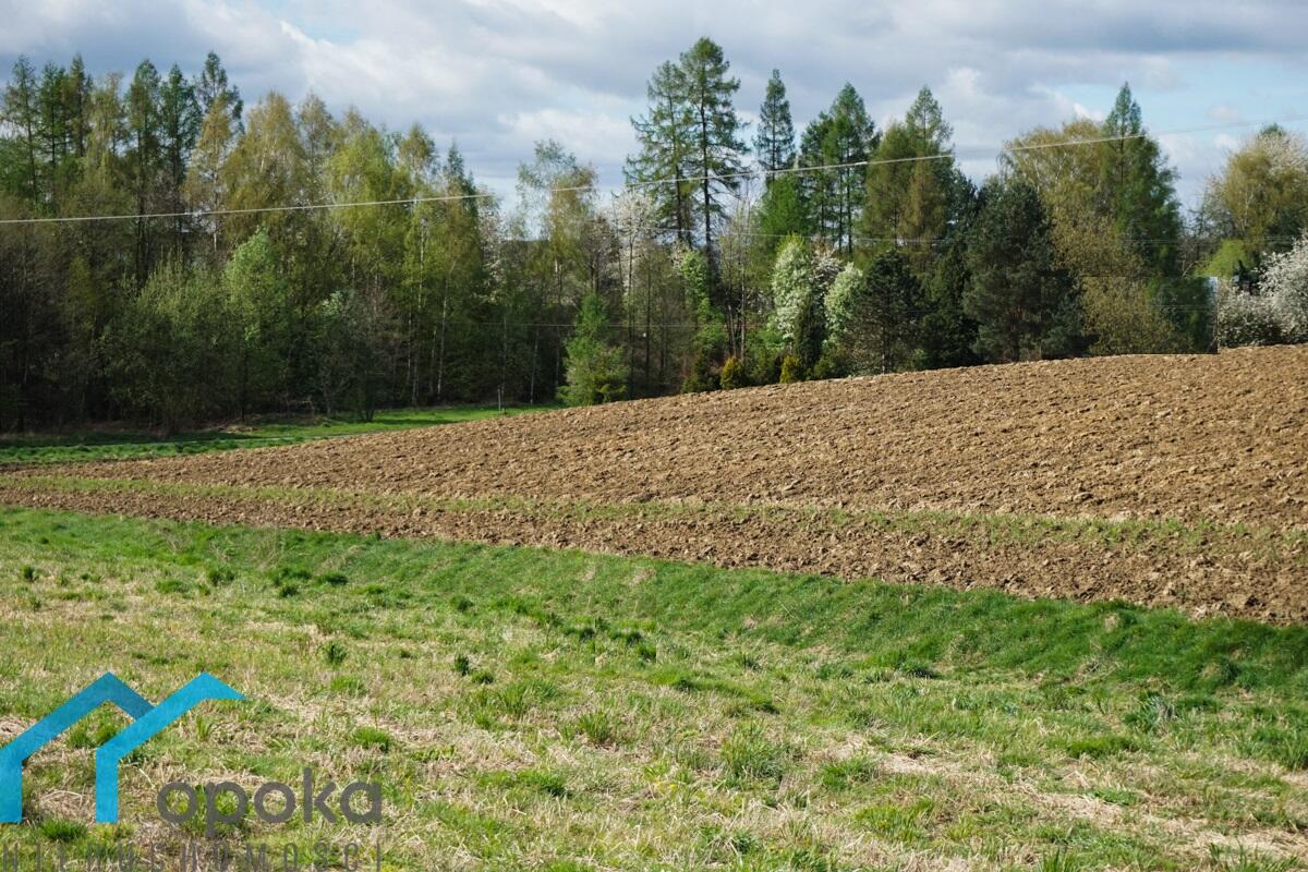 Działka budowlana 800 m w Pogwizdowie - Pogwizdów   -
śląskie Zdjęcie nr 1