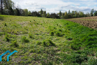 Działka budowlana 800 m w Pogwizdowie - Pogwizdów   -
śląskie Zdjęcie nr 3