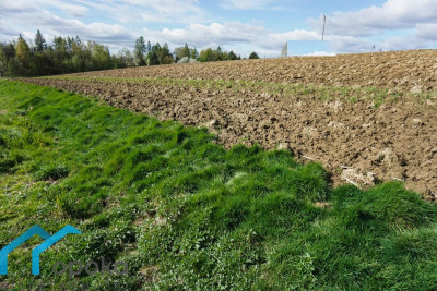 Działka budowlana 800 m w Pogwizdowie - Pogwizdów   -
śląskie Zdjęcie nr 5