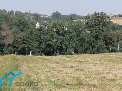 Działka rolna koło Cieszyna - Łączka   - śląskie