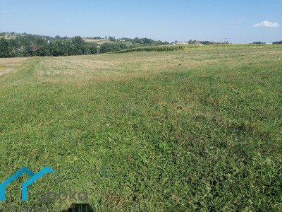 Działka rolna koło Cieszyna - Łączka   -
śląskie Zdjęcie nr 2