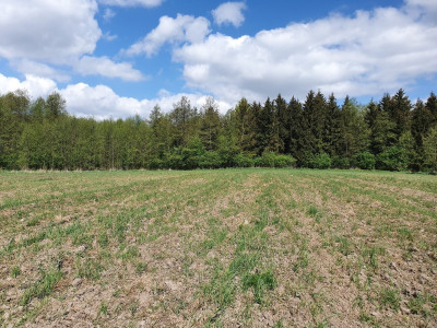 Nieruchomość idealna na agroturystykę - Harsz Nowy Harsz  -
warmińsko-mazurskie Zdjęcie nr 2