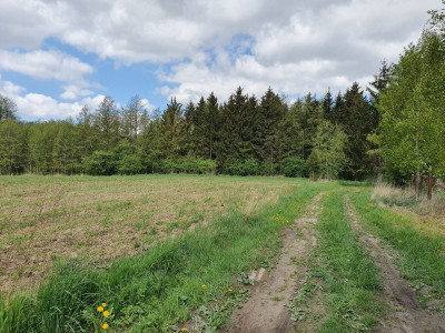 Nieruchomość idealna na agroturystykę - Harsz Nowy Harsz  -
warmińsko-mazurskie Zdjęcie nr 6