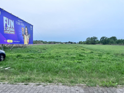 Działki w Dawidach z wjzdem z drogi asfaltowej - Dawidy   - mazowieckie