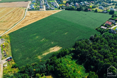 Działki na sprzedaż powierzchnie od 626 do 813 m2 - Zbrosławice  -
ŚLĄSKIE Zdjęcie nr 11
