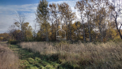 Działka w Nieborowicach przy ulOrzechowej - Nieborowice   -
ŚLĄSKIE Zdjęcie nr 2