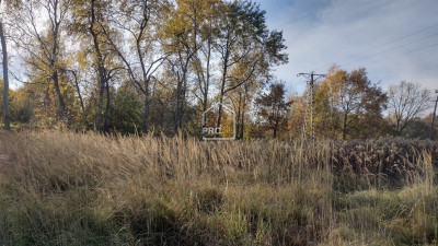 Działka w Nieborowicach przy ulOrzechowej - Nieborowice   -
ŚLĄSKIE Zdjęcie nr 4