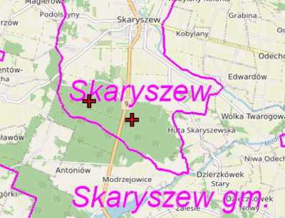 Syndyk sprzeda dwie działki leśne bez ceny minimalnej -  Skaryszew  - mazowieckie