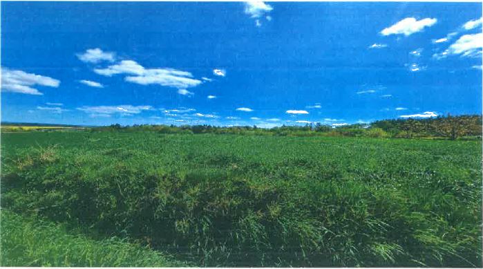 Syndyk sprzeda działkę rolną  niższa cena - Rokietnica  -
podkarpackie Zdjęcie nr 1