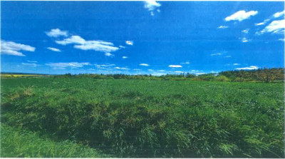 Syndyk sprzeda działkę rolną  niższa cena - Rokietnica  - podkarpackie