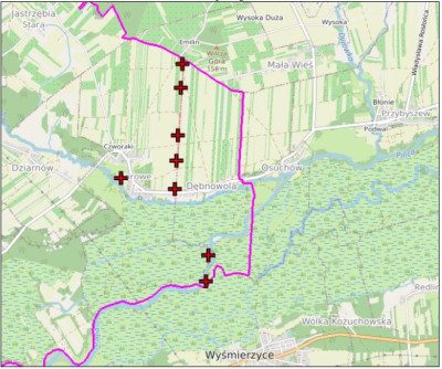 Syndyk sprzeda kompleks działek rolnych - Borowe  - mazowieckie