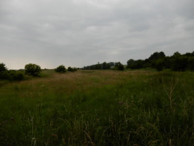 Syndyk sprzeda udział 12 w działce możliwość zakupu całej nieruchomości - Sobieradz  -
zachodniopomorskie Zdjęcie nr 9