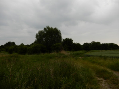 Syndyk sprzeda udział 12 w działce możliwość zakupu całej nieruchomości - Sobieradz  -
zachodniopomorskie Zdjęcie nr 10