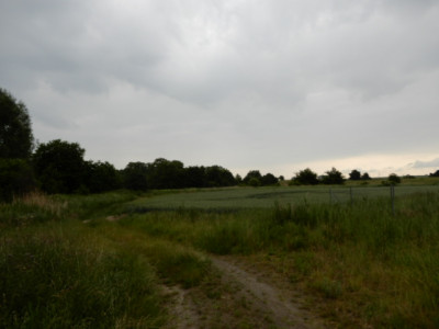 Syndyk sprzeda udział 12 w działce możliwość zakupu całej nieruchomości - Sobieradz  -
zachodniopomorskie Zdjęcie nr 12