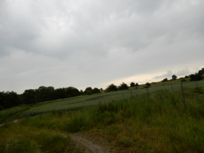 Syndyk sprzeda udział 12 w działce możliwość zakupu całej nieruchomości - Sobieradz  -
zachodniopomorskie Zdjęcie nr 3