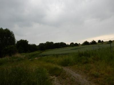 Syndyk sprzeda udział 12 w działce możliwość zakupu całej nieruchomości - Sobieradz  -
zachodniopomorskie Zdjęcie nr 4