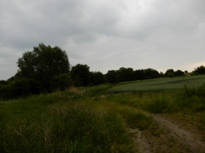 Syndyk sprzeda udział 12 w działce możliwość zakupu całej nieruchomości - Sobieradz  -
zachodniopomorskie Zdjęcie nr 5