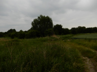 Syndyk sprzeda udział 12 w działce możliwość zakupu całej nieruchomości - Sobieradz  -
zachodniopomorskie Zdjęcie nr 6