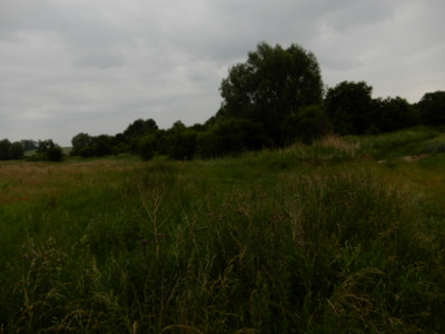 Syndyk sprzeda udział 12 w działce możliwość zakupu całej nieruchomości - Sobieradz  -
zachodniopomorskie Zdjęcie nr 7