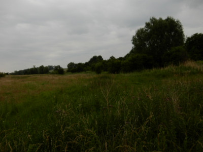 Syndyk sprzeda udział 12 w działce możliwość zakupu całej nieruchomości - Sobieradz  -
zachodniopomorskie Zdjęcie nr 8