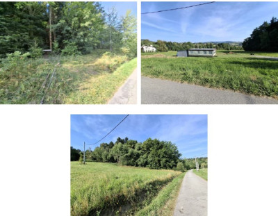 Syndyk sprzeda udział w działce leśnej  borze świerkowym - Przyszowa  -
małopolskie Zdjęcie nr 3