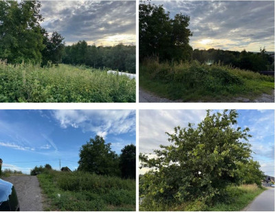 Syndyk sprzeda działkę budowlaną - Bilczyce  -
małopolskie Zdjęcie nr 2