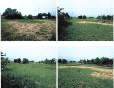 Syndyk sprzeda udział 16 w niezabudowanej działce - Siemoń  -
kujawsko-pomorskie Zdjęcie nr 4