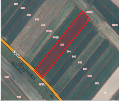 Syndyk sprzeda dwie działki rolne za 80 ceny - Biały Kościół  -
małopolskie Zdjęcie nr 5