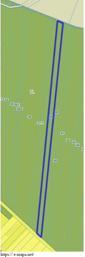 Syndyk sprzeda las - Wólka Paplińska  -
mazowieckie Zdjęcie nr 3
