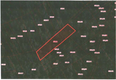 Udział 24  kompleks działek - Bieńkówka  -
małopolskie Zdjęcie nr 9