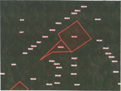 Udział 24  kompleks działek - Bieńkówka  -
małopolskie Zdjęcie nr 10